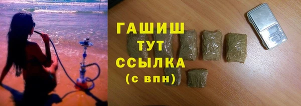 хмурый Алексин