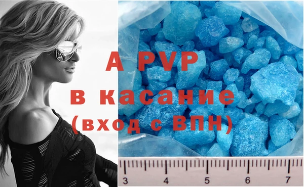СК Алзамай