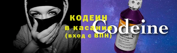 хмурый Алексин