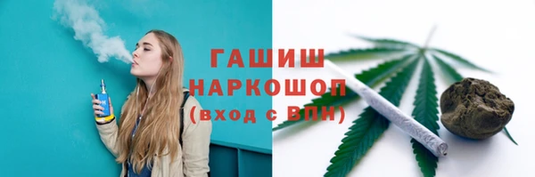 хмурый Алексин