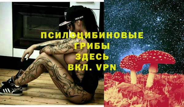 тгк Абинск