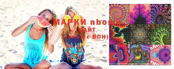 хмурый Алексин