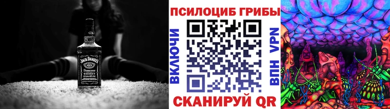 наркота  Партизанск  Галлюциногенные грибы GOLDEN TEACHER 